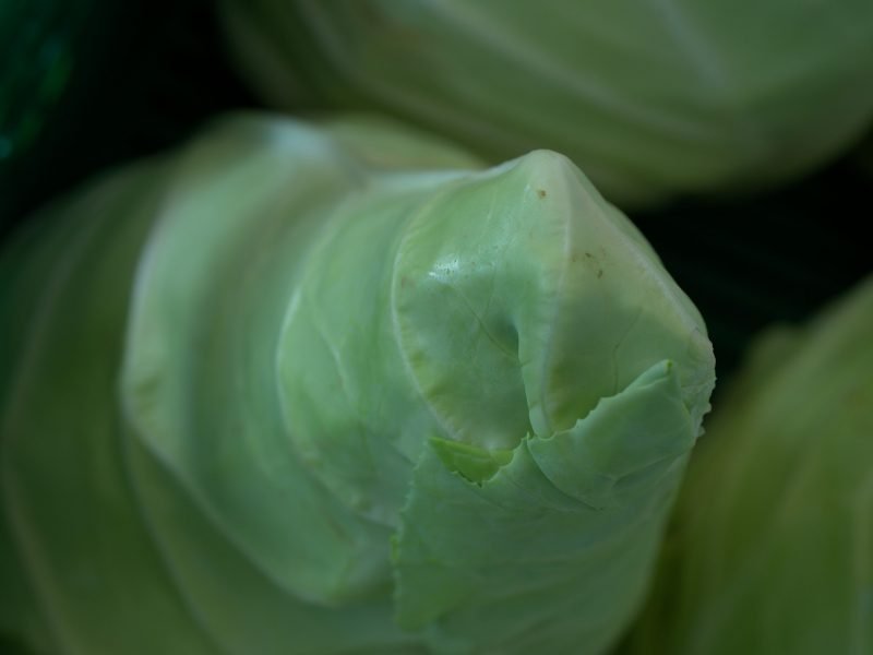 pointed-cabbage-3740849_1920